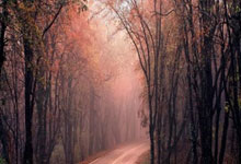 星空体育：[乒乓球]天津男团四战全胜小组第一.