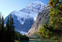 星空体育:斯塔姆:我不同意C罗是历史最佳的说法,但他是最佳之一.