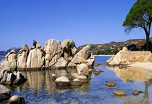 非洲世预赛小组形势:尼日利亚出线告急!科摩罗将创历史?.